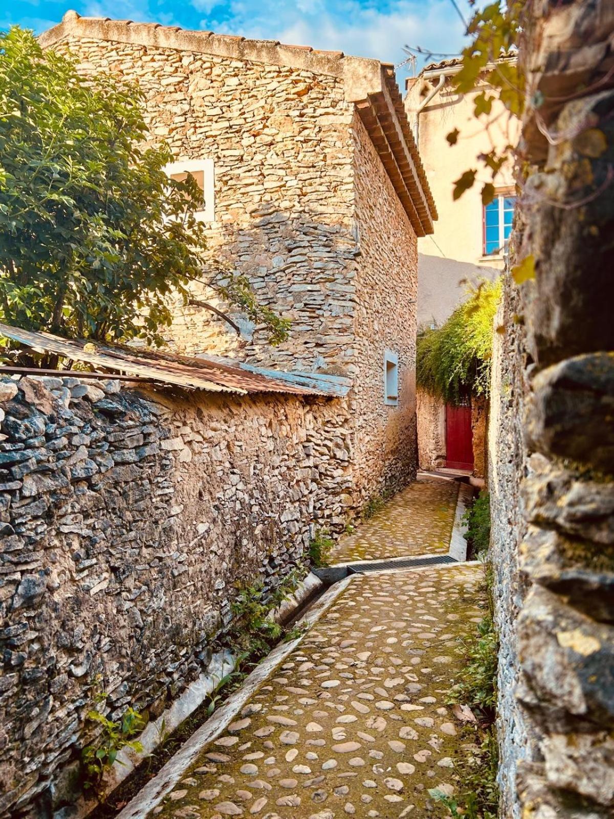 La Sarrasine Hotel Villes-sur-Auzon Екстериор снимка